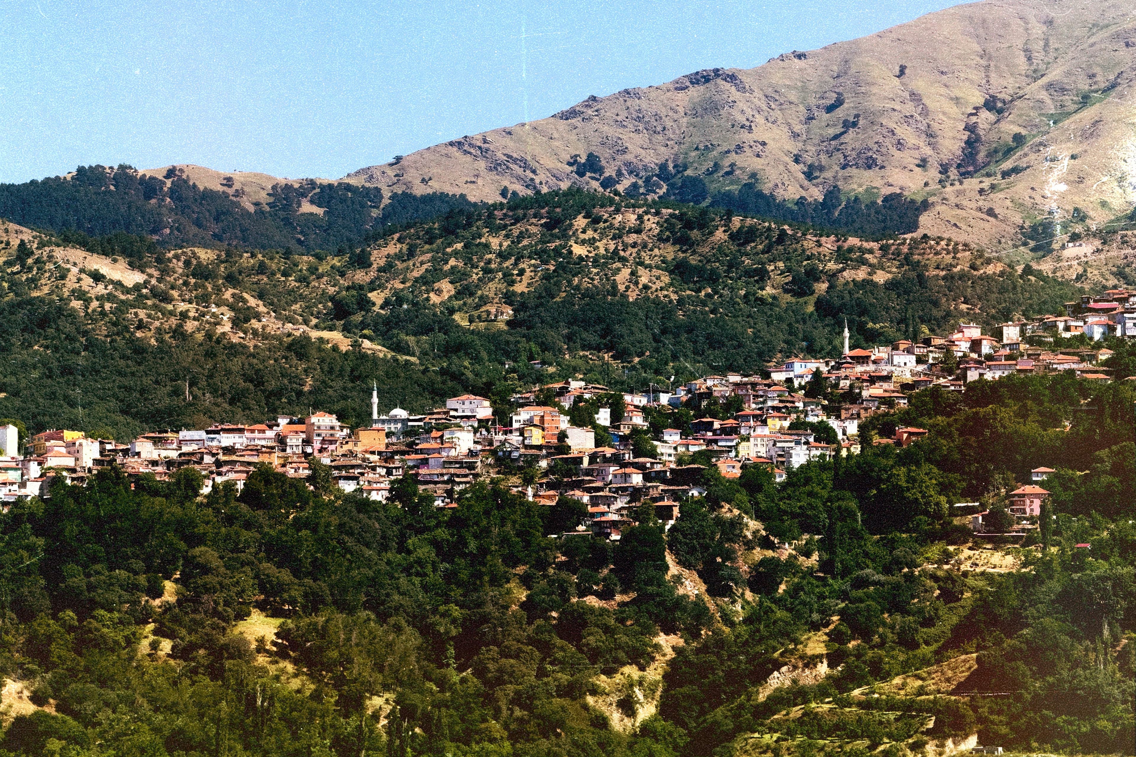 View of Pampaneira