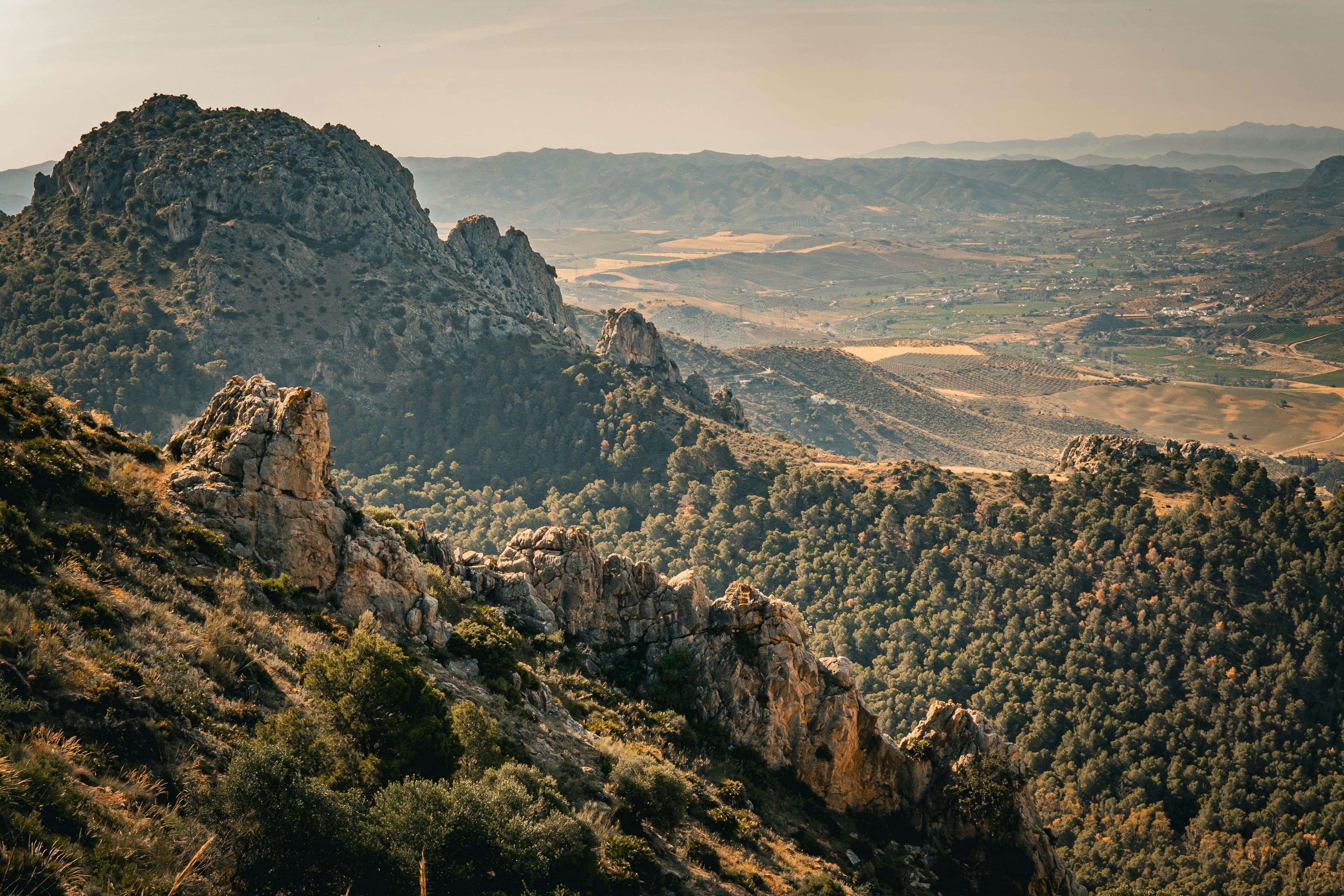 Rural landscape representing Spain's countryside